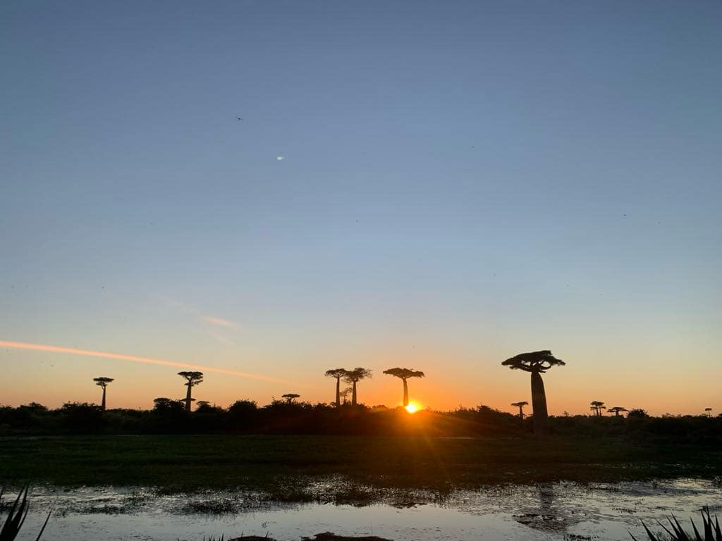sonnenaufgang-bei-der- baobab-allee-by-steib-pur-reisen